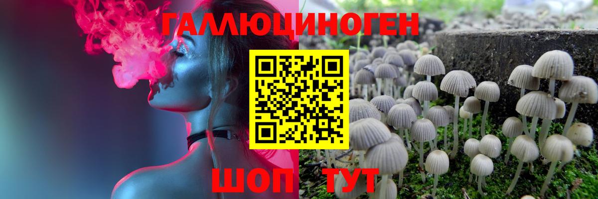 Галлюциногенные грибы мицелий  Псилоцибиновые грибы MAGIC MUSHROOMS  Полевской  наркотики  Вход с VPN 